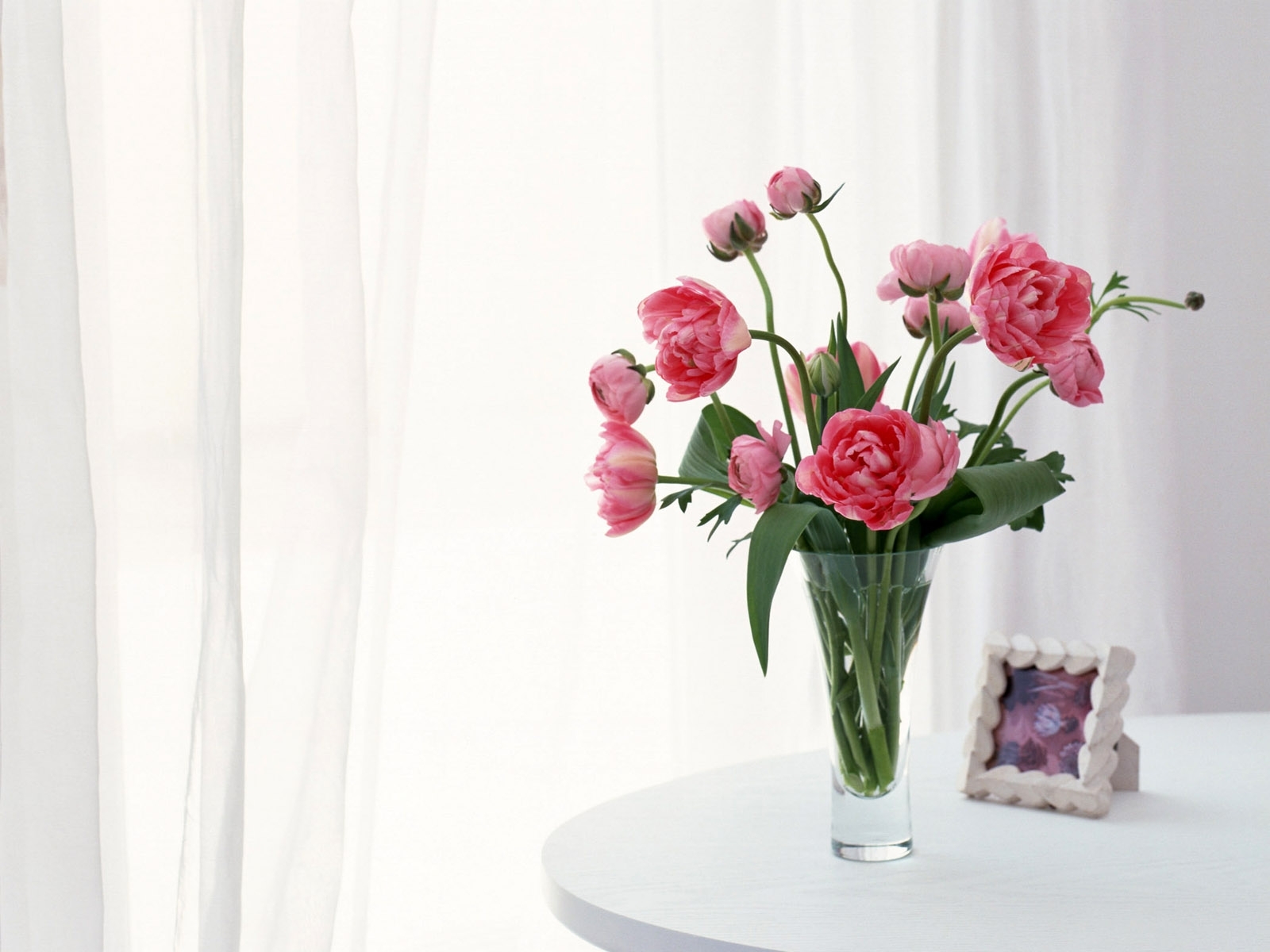 Beautiful Flower Wallpaper For You