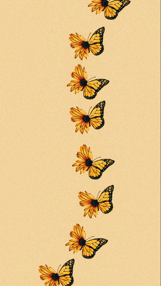 Sunflower Wallpaper With Butterfly At David Velasquez