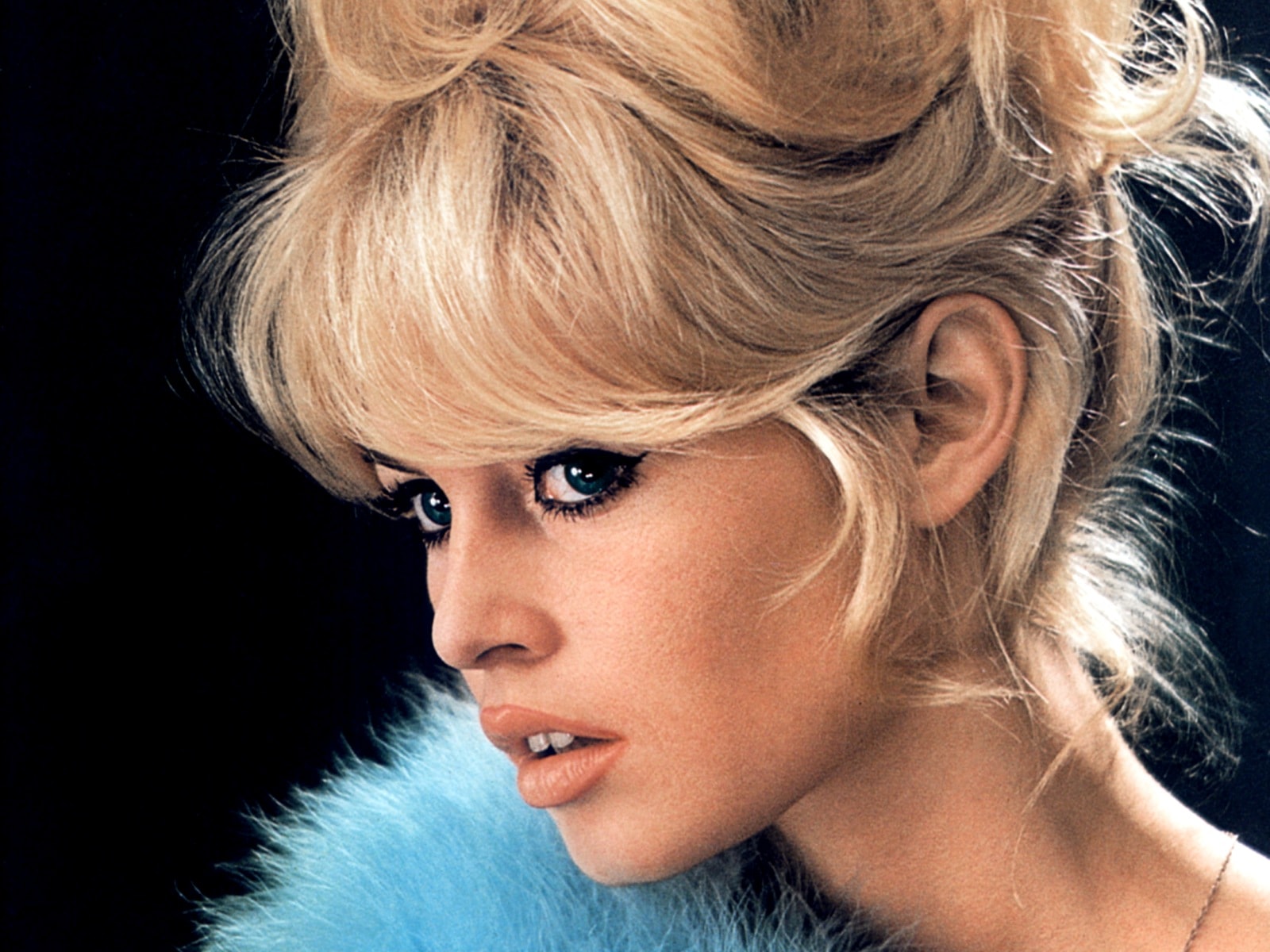 76 Brigitte Bardot Wallpaper On Wallpapersafari Images, Photos, Reviews