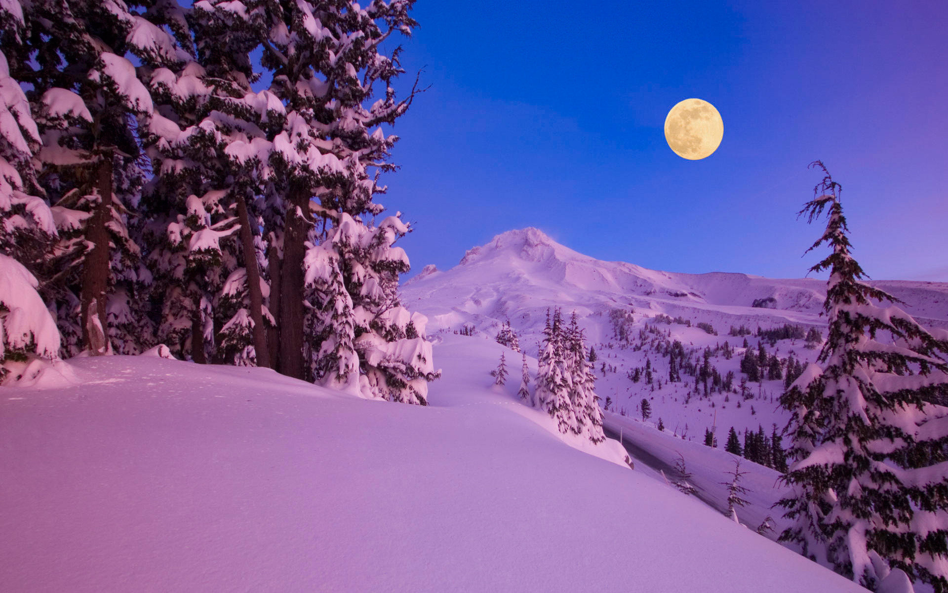 Wallpaper Winter Snow Night Moon Mountains Tree Desktop