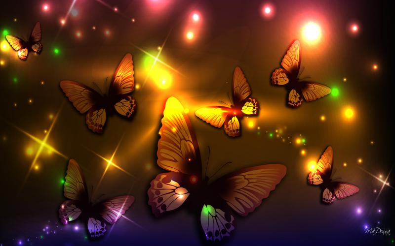 HD Butterfly Lights Ii Wallpaper