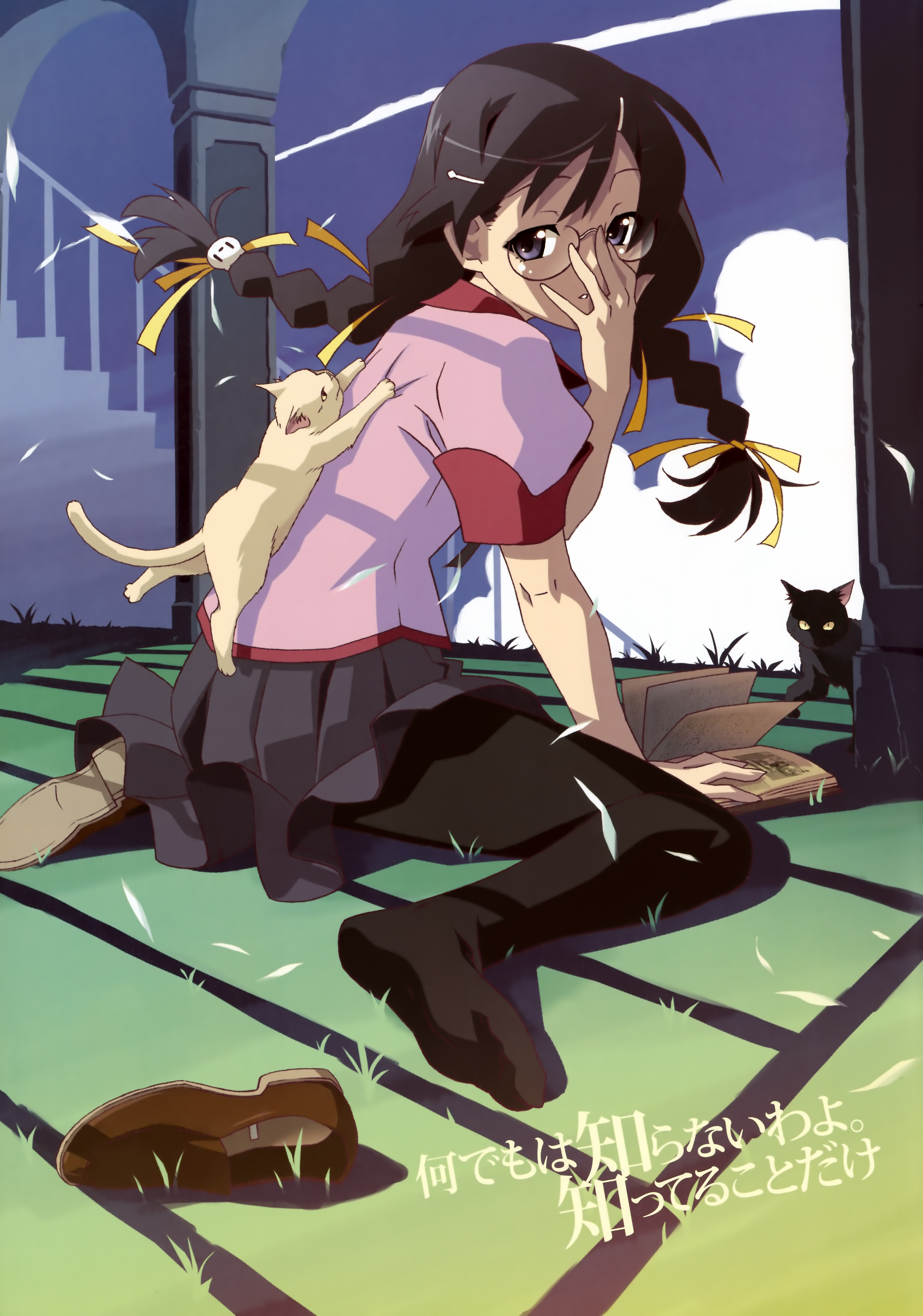 Hanekawa Tsubasa Bakemonogatari Zerochan Anime Image Board