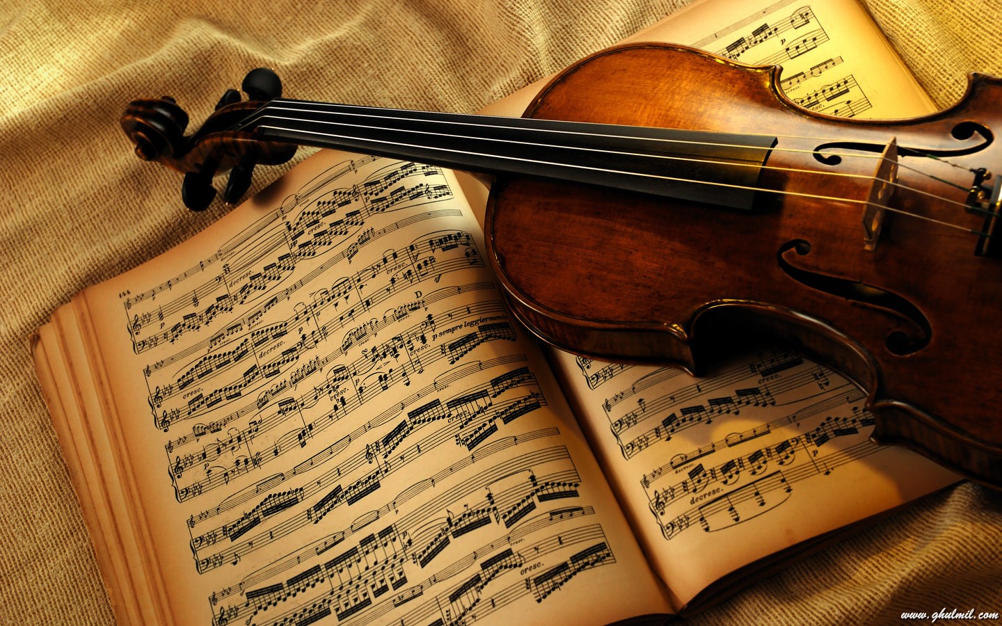 44+] Beautiful Violin Wallpaper - WallpaperSafari