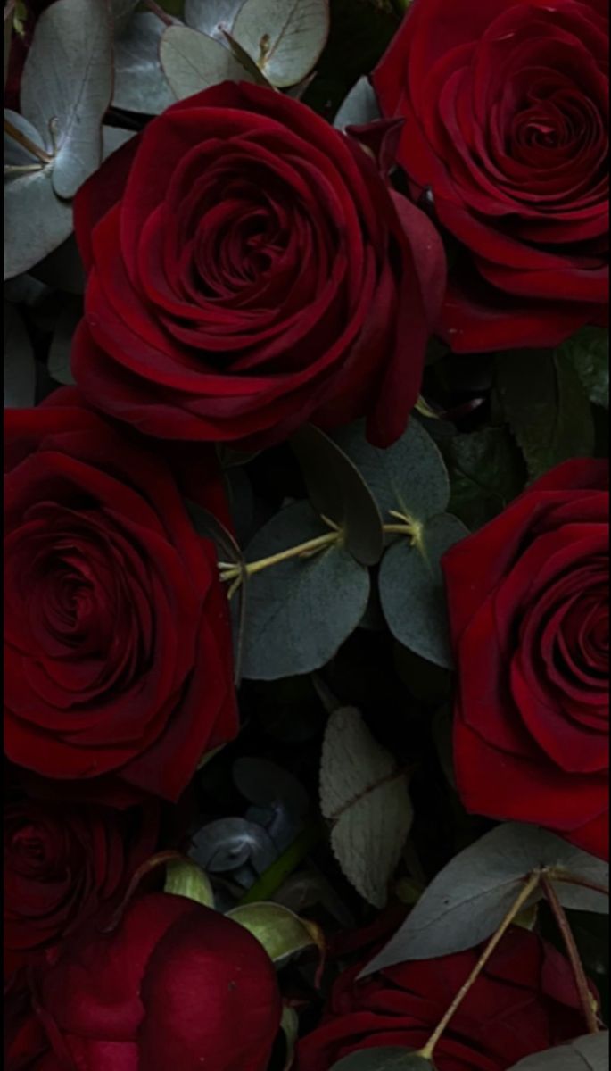 Red Roses And Leaves Arrangement Wallpaper