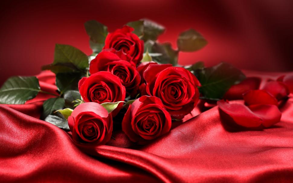 Nature Flowers Bouquets Rose Red Close Macro Holidays Valentine