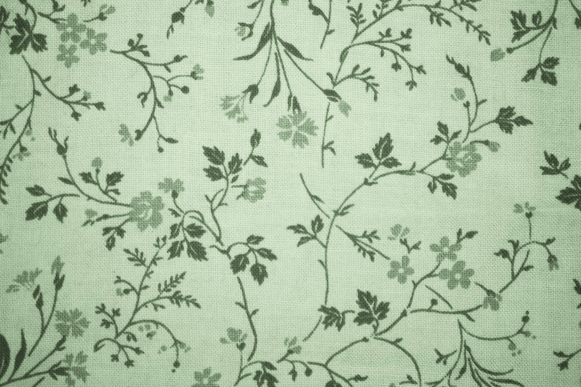 Sage Green Aesthetic Wallpaper