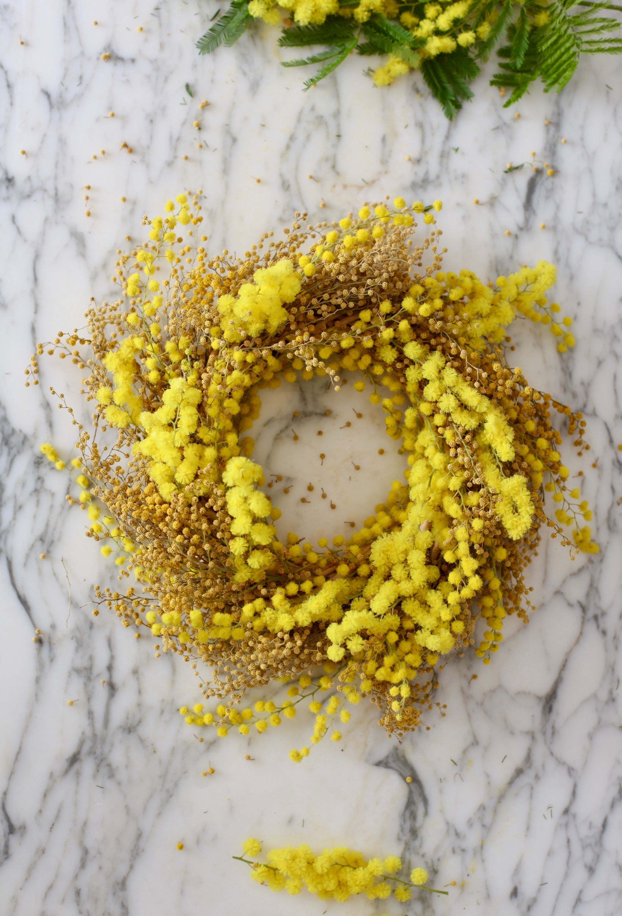 A Super Easy Mimosa Wreath In With Image Wreaths