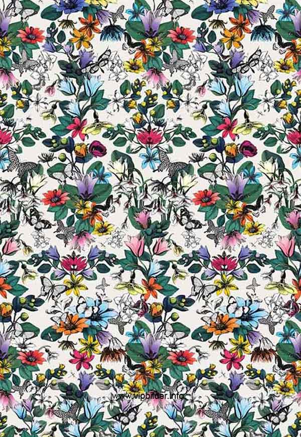 Osborne And Little Wallpaper Wallpapersafari Wallpaper Osborne And Little Tulipan Pasha Online Germany 600x871