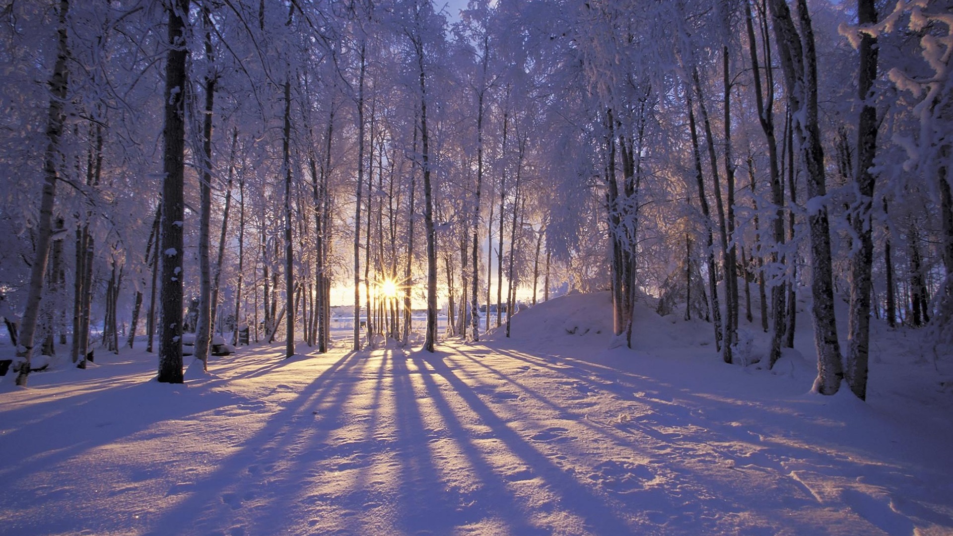 Winter Is Coming Download HD Wallpapers 1920x1080