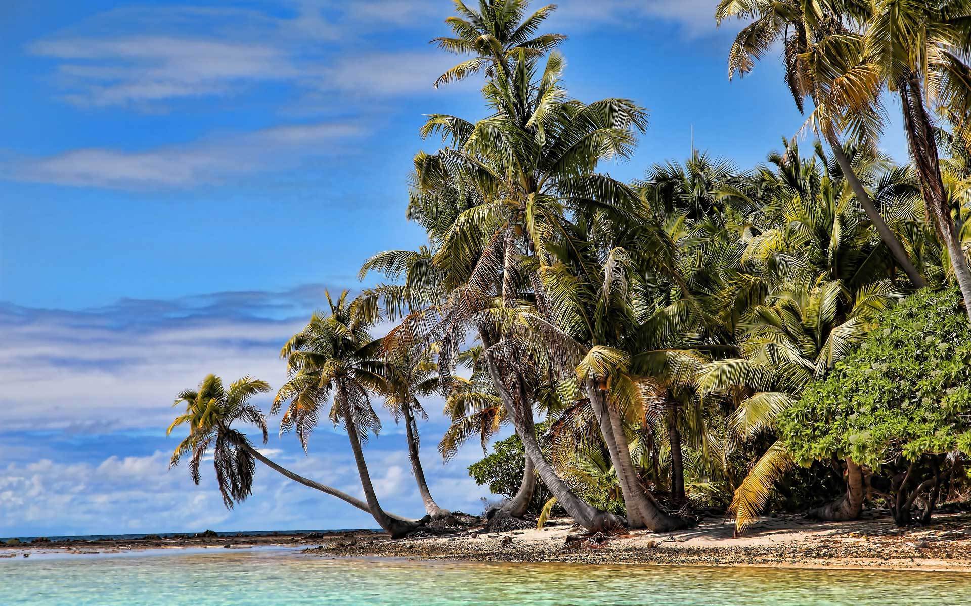 High resolution wallpaper of sea image of ocean island ImageBank