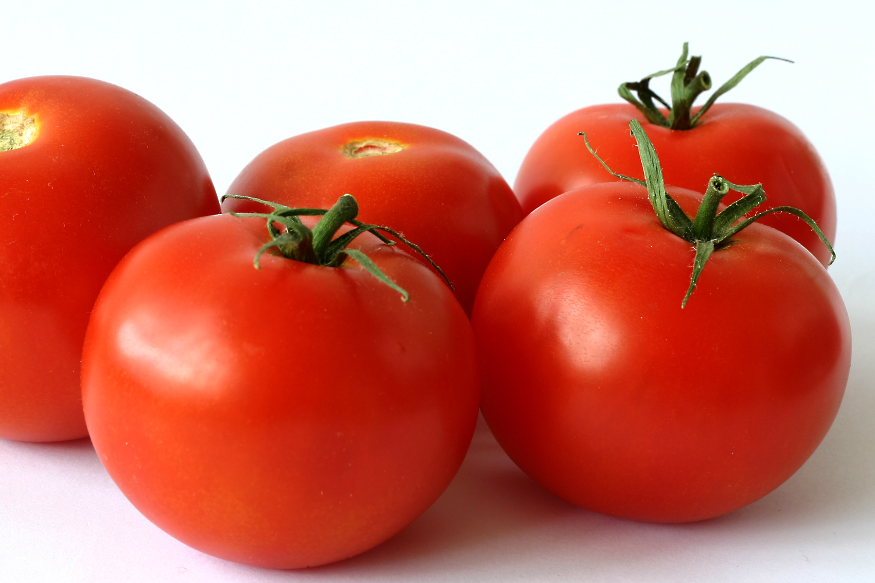 Colors Image Vermillion Tomato HD Wallpaper And Background Photos