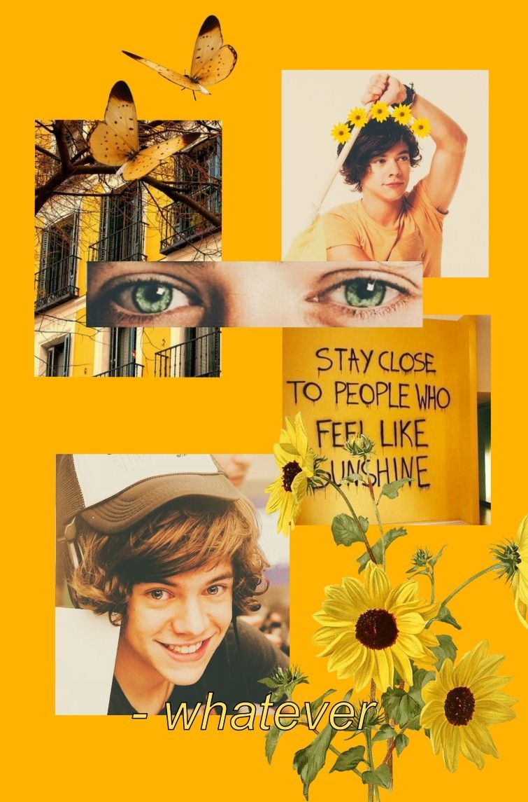 Annas wallpapers  Harry Styles  GOLDEN wallpapers  Reblog or like