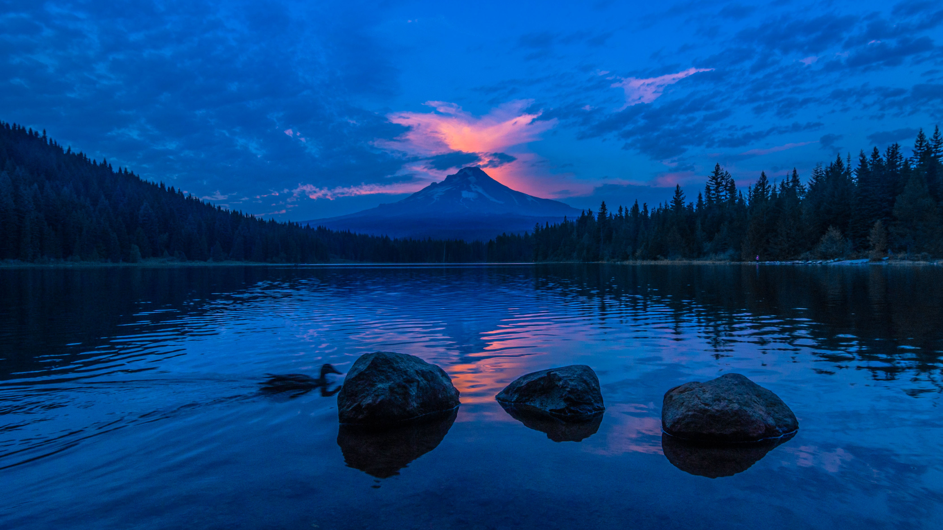 Lake Blue Sky Sunset 4k HD Wallpaper Image Photos And Picture