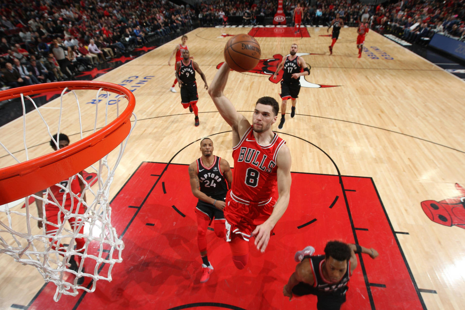 Lavine Wallpaper