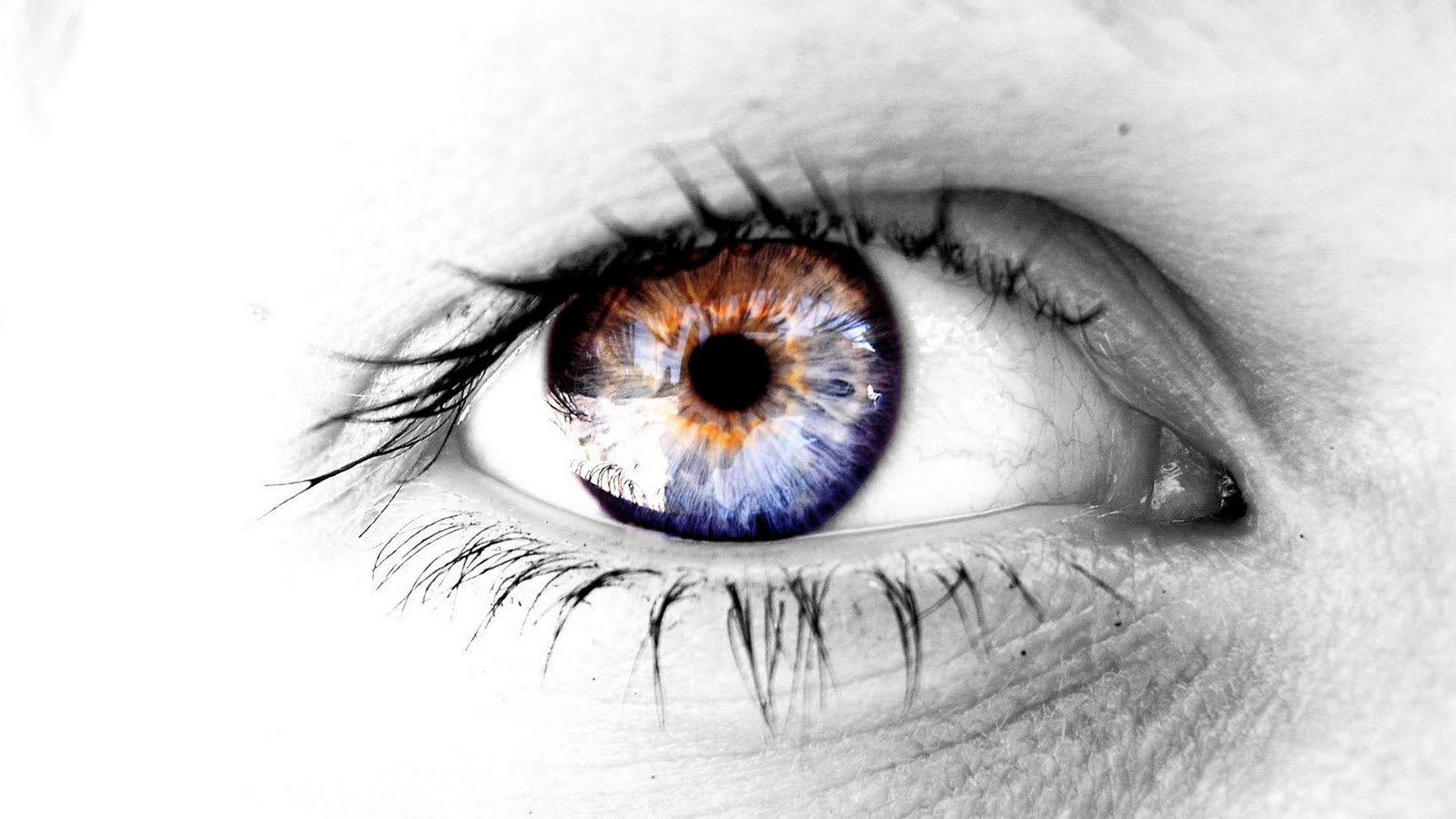 Eyes Wallpaper