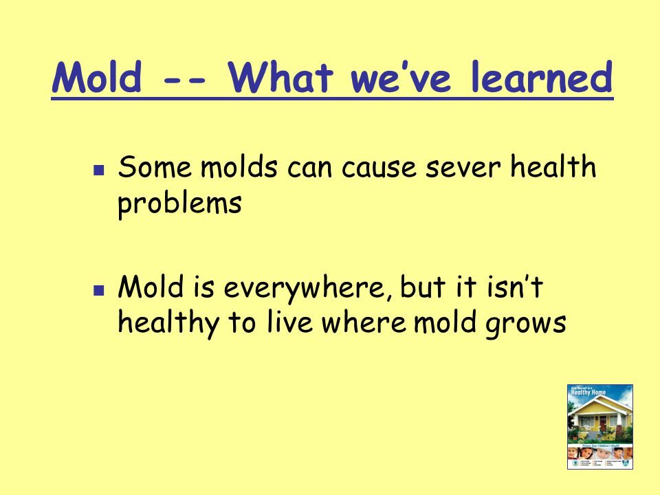 Free download Mold What weve learned Some molds can cause sever health