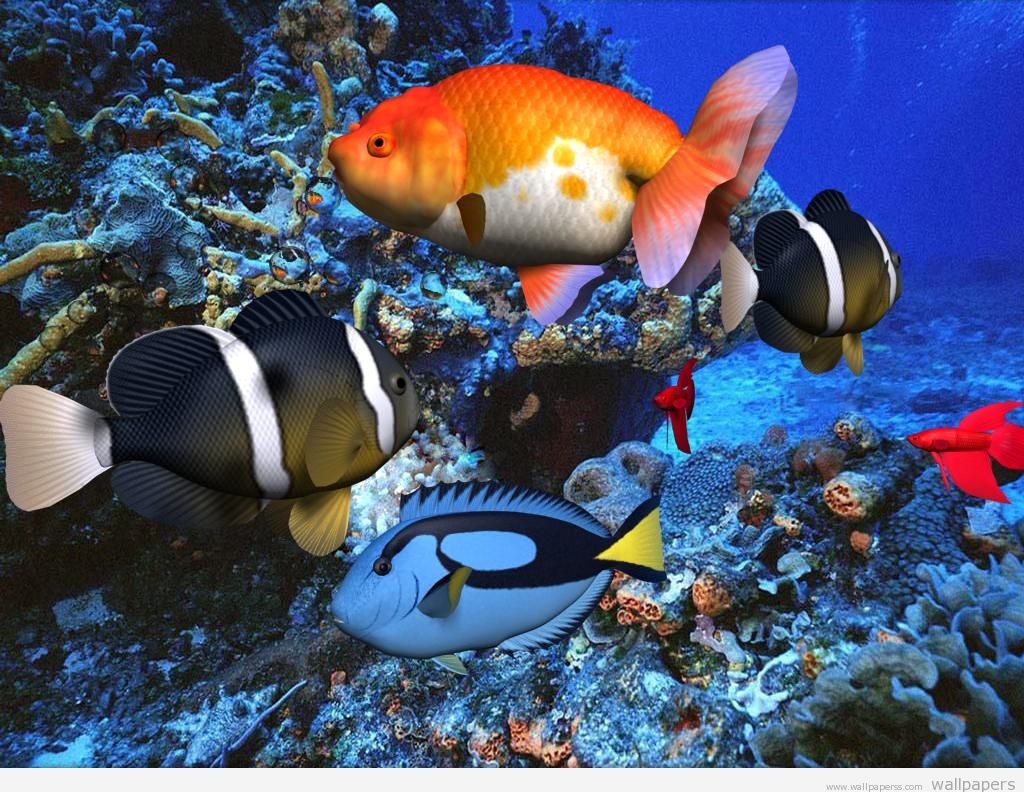 HD 3d Wallpaper Animated Fish Ocean