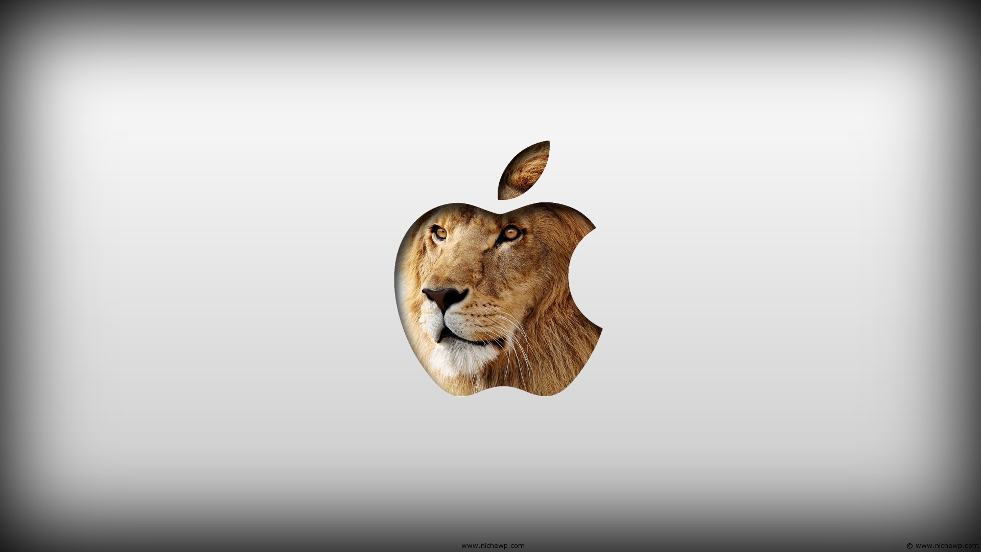mac lion wallpaper