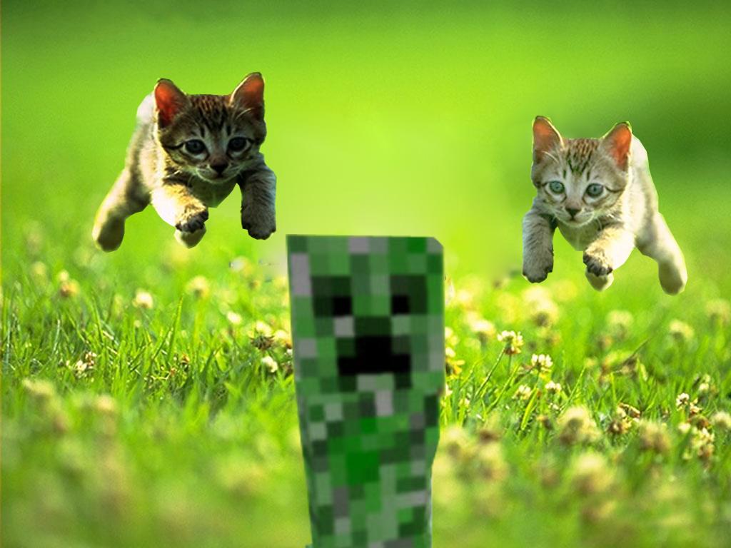 🔥 Download Better Than Wolves Forum Topic So Creepers Have By Laurenmartinez Minecraft Cat 