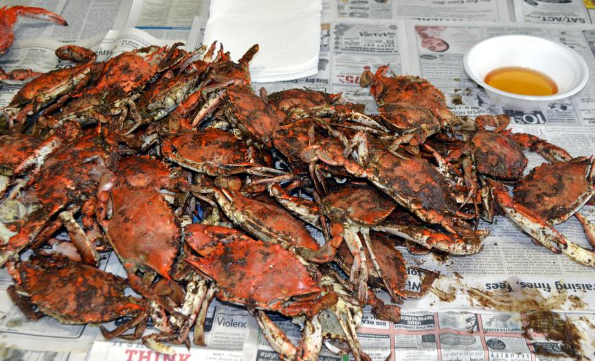 Pin Blue Crabs Can Be Used As Bait For Red Drum Wallpaper