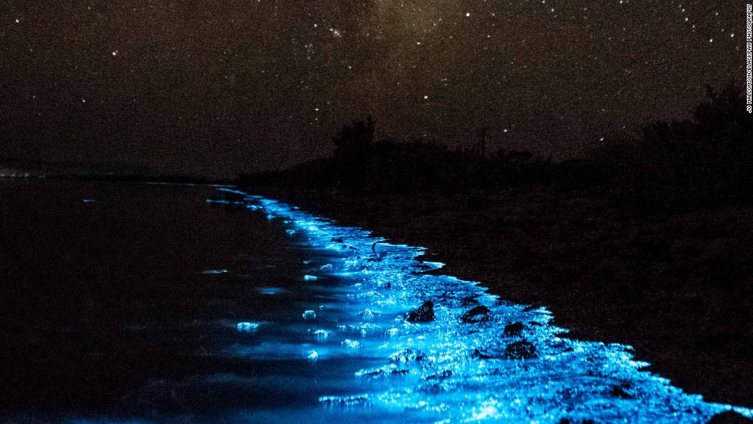 Bioluminescence Turns Australia S Shores Bright Blue Cnn