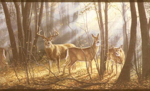 Deer Forest Scene Wallpaper