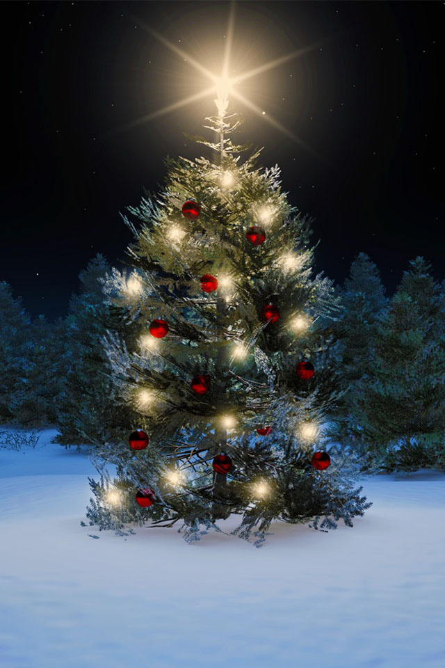 Beautiful Christmas Tree iPhone Wallpaper Background And Themes
