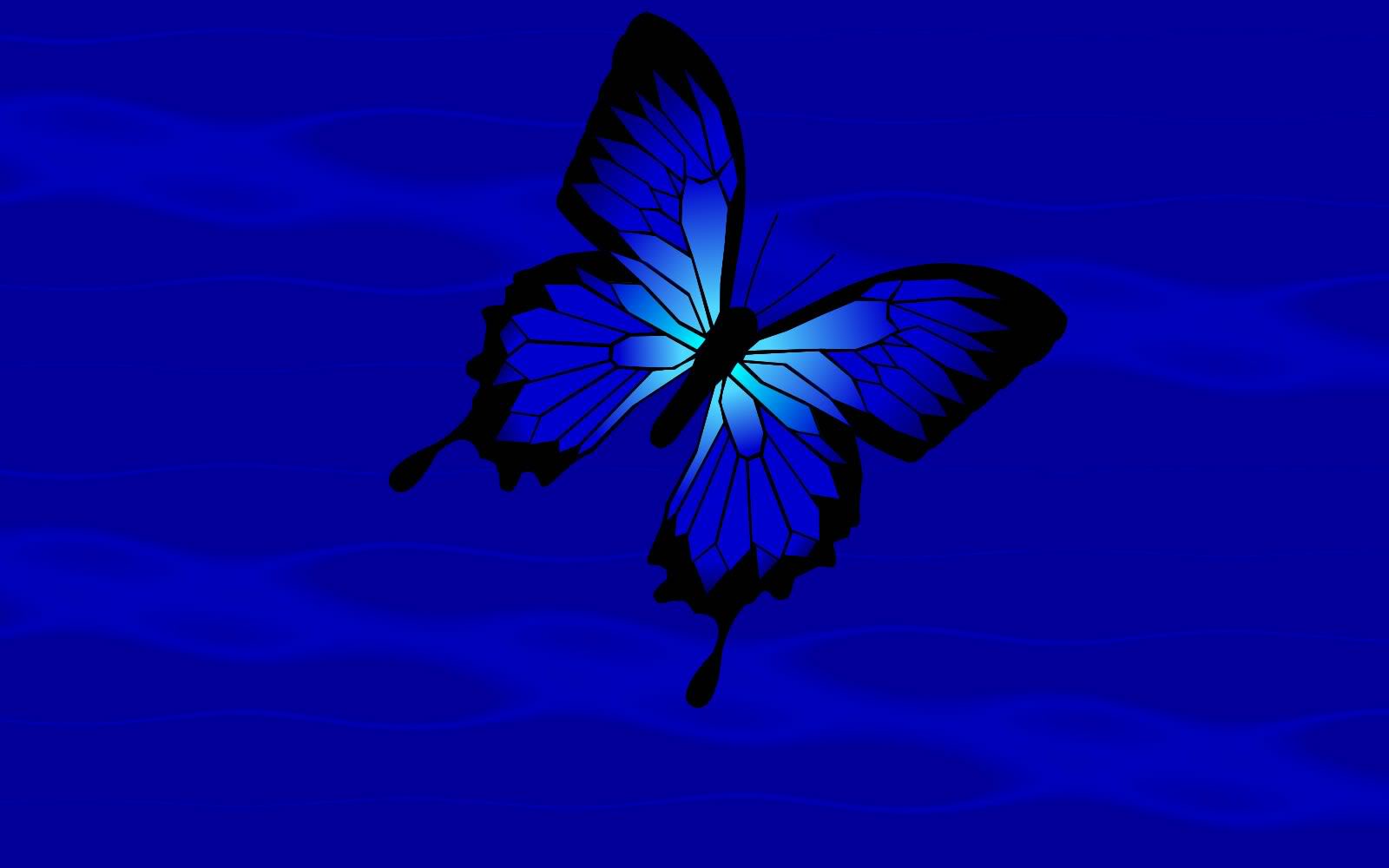 Blue Butterfly Wallpaper Background At Wildlife Monodomo