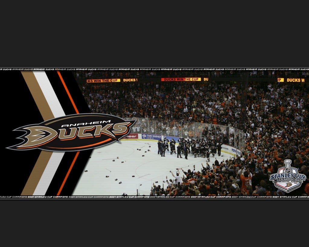 Ducks Anaheim Nhl Hockey 761976 HD Desktop Backgrounds Wallpaper
