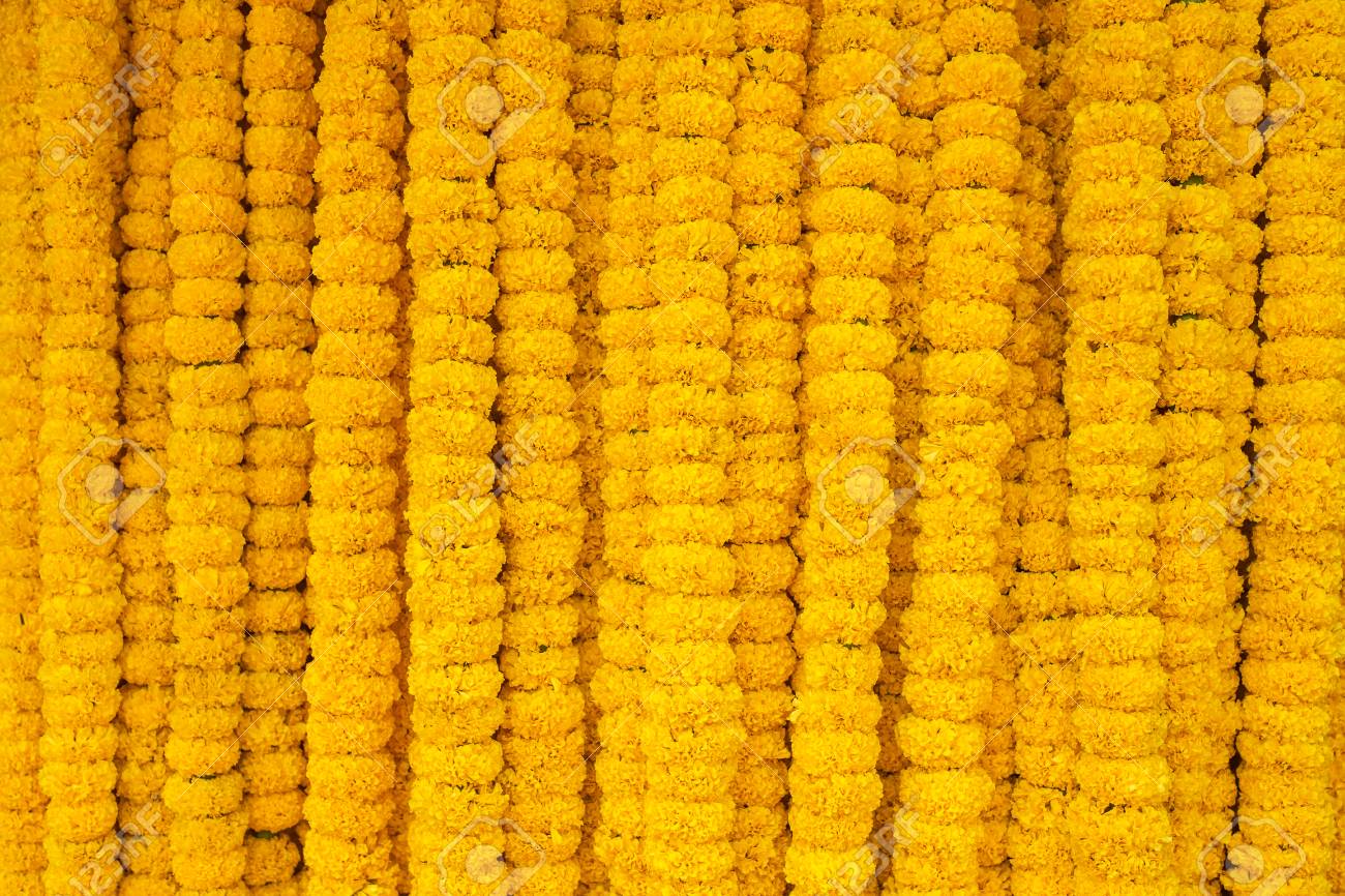 Yellow Marigold Flowers Garland Background Stock Photo Picture