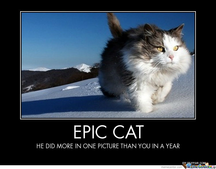 Epic Cat True Story By Banagher Meme Center