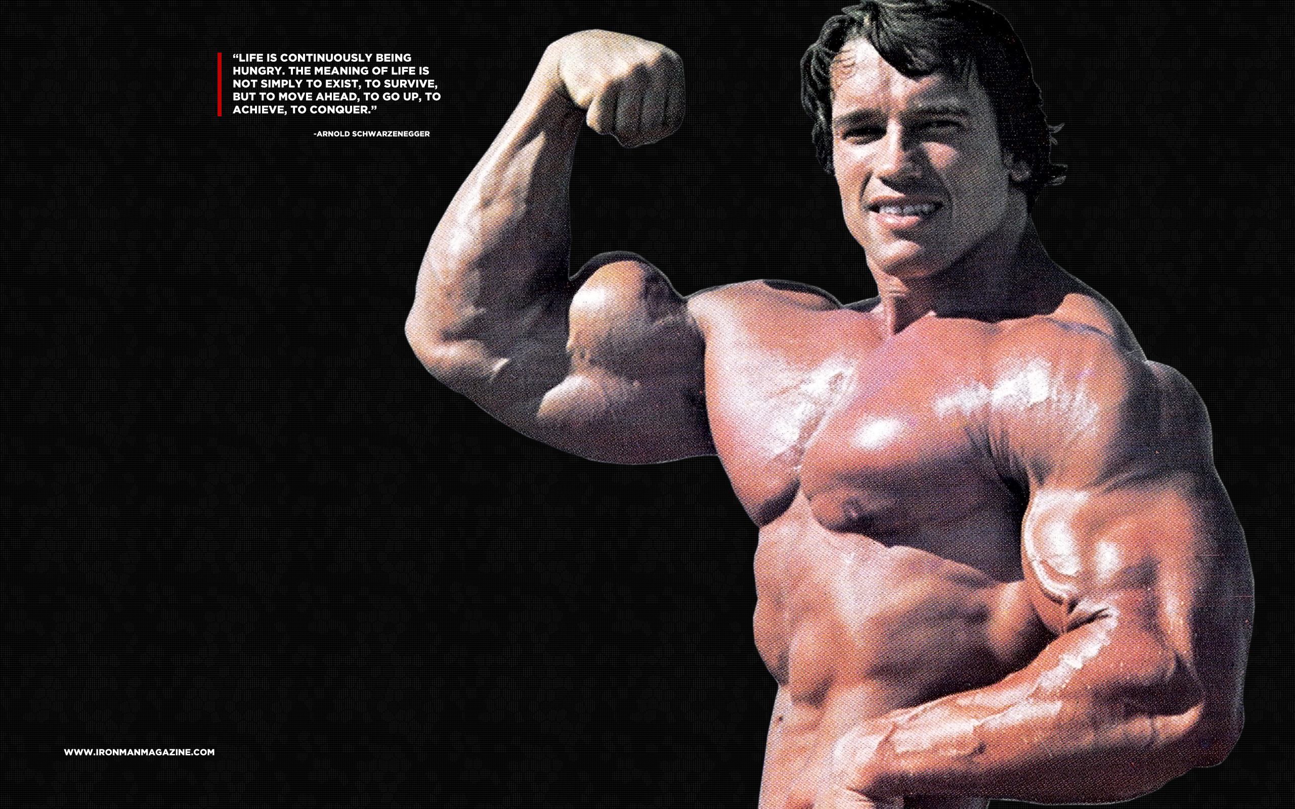 Arnold Schwarzenegger Desktop Wallpaper Iron Man Magazine