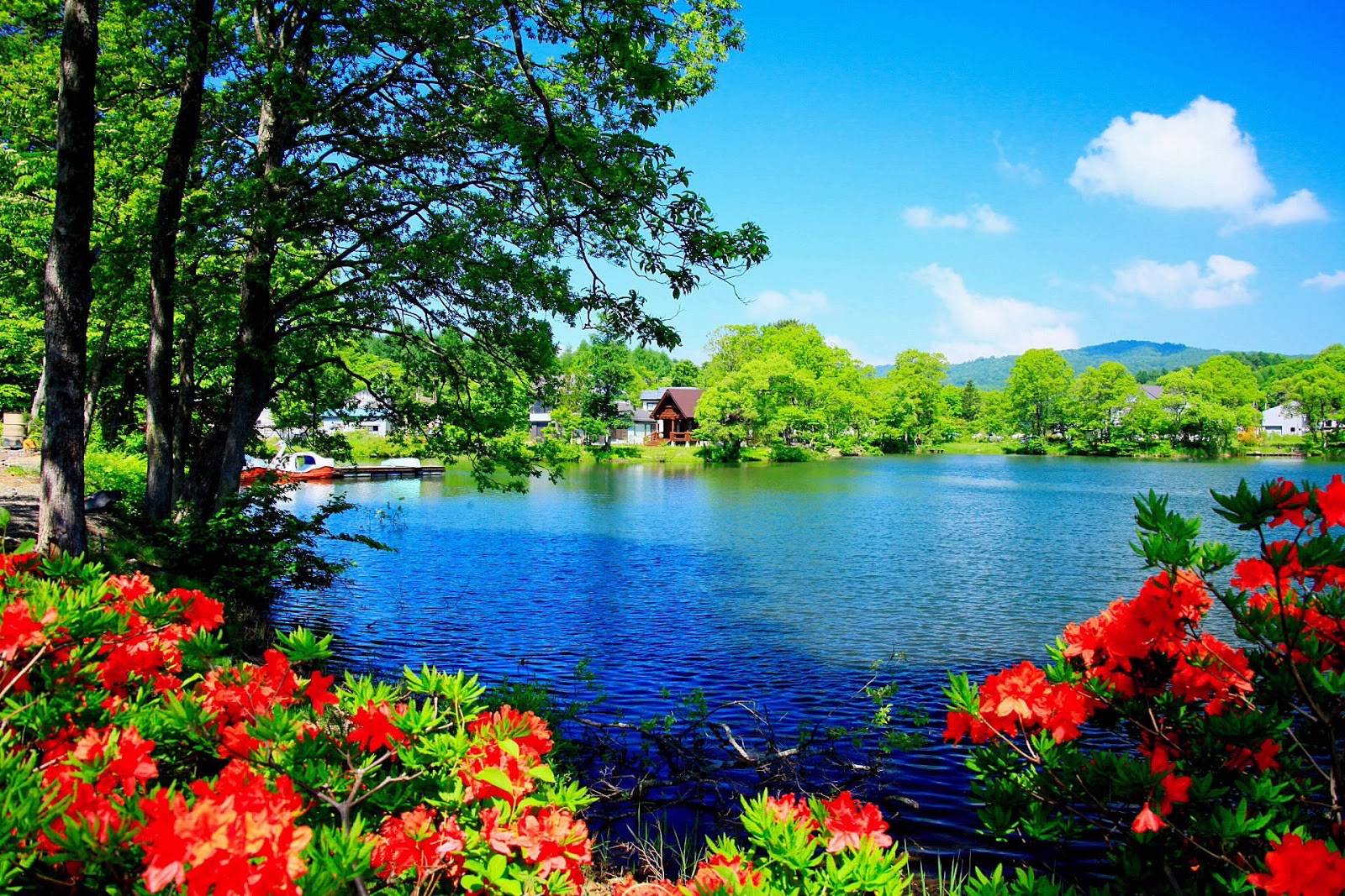 BANCO DE IMGENES Lago azul y hermoso paisaje tropical con flores 1600x1067