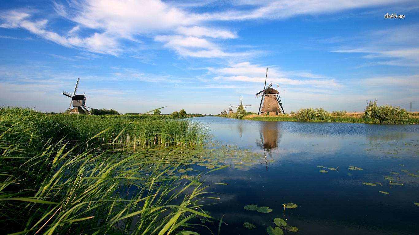Windmills In The Herlands Wallpaper World
