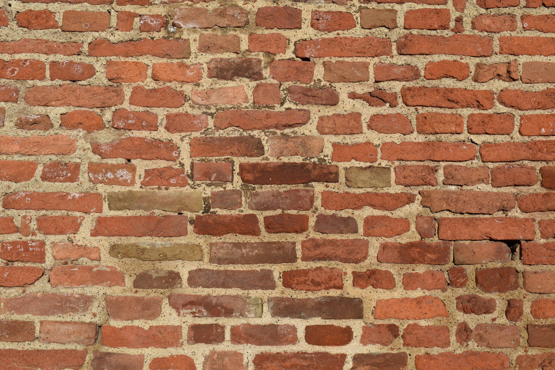 Brick Texture Wallpaper