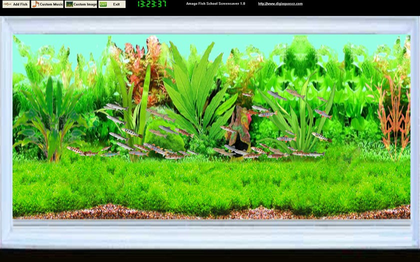 July Category Desktop Screen Savers Nature Author Digiaquascr