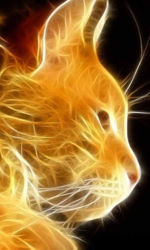 Neon Cat Live Wallpaper For Android Por Gigi Labs Appszoom