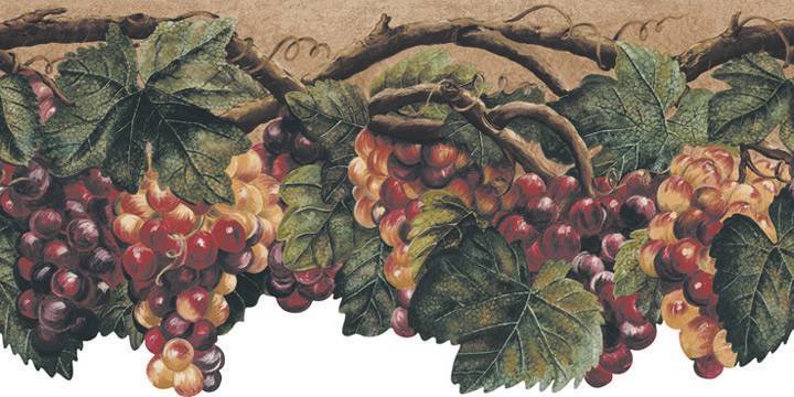 Wallpaper Border Tuscan Grape Leaves Grapevine With Grapes