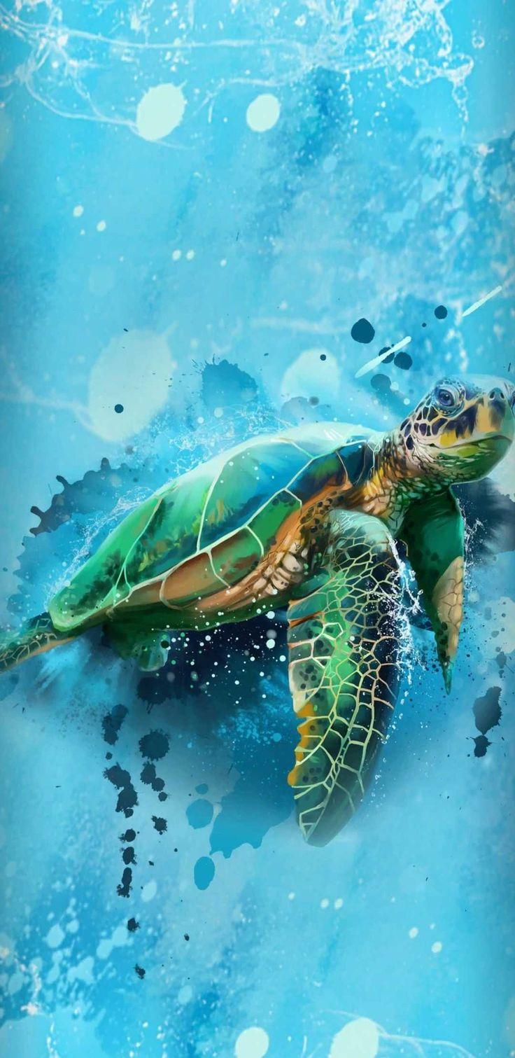 Turtle Wallpaper Discover More Background Cartoon Cute Desktop