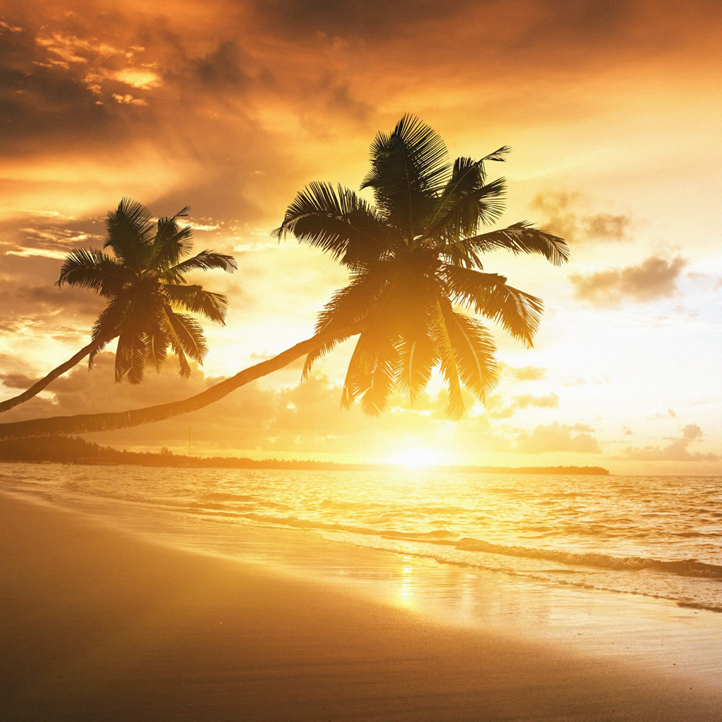 Caribbean Coast Sunset iPad Wallpaper iPhone