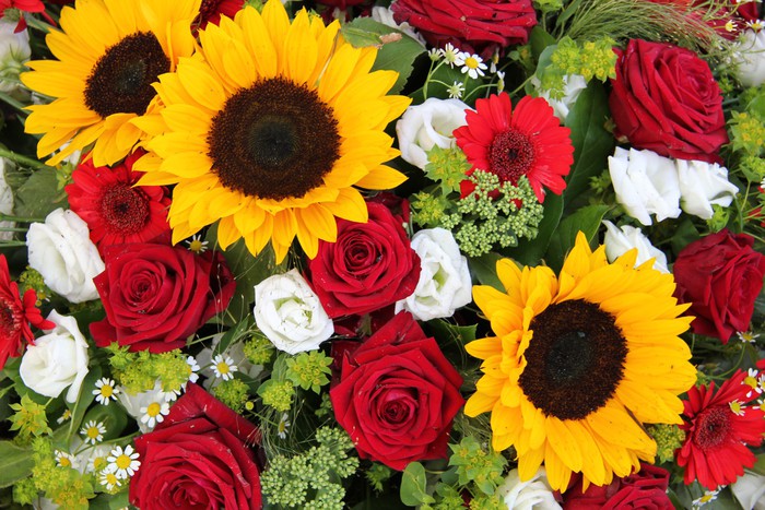 Sunflowers And Roses Sticker Pixers We Live To Change Wallpaper
