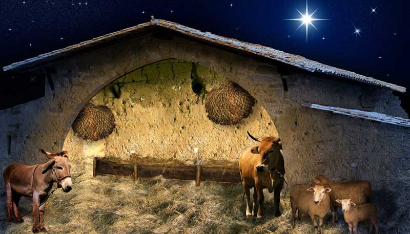 Christmas Nativity Stable Backdrop