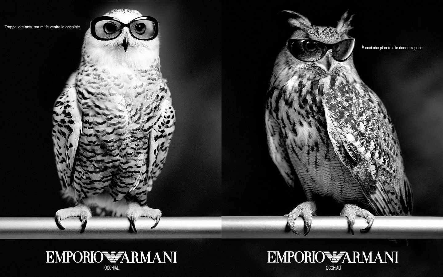 Grayscale Owls Emporio Armani Wallpaper Art HD