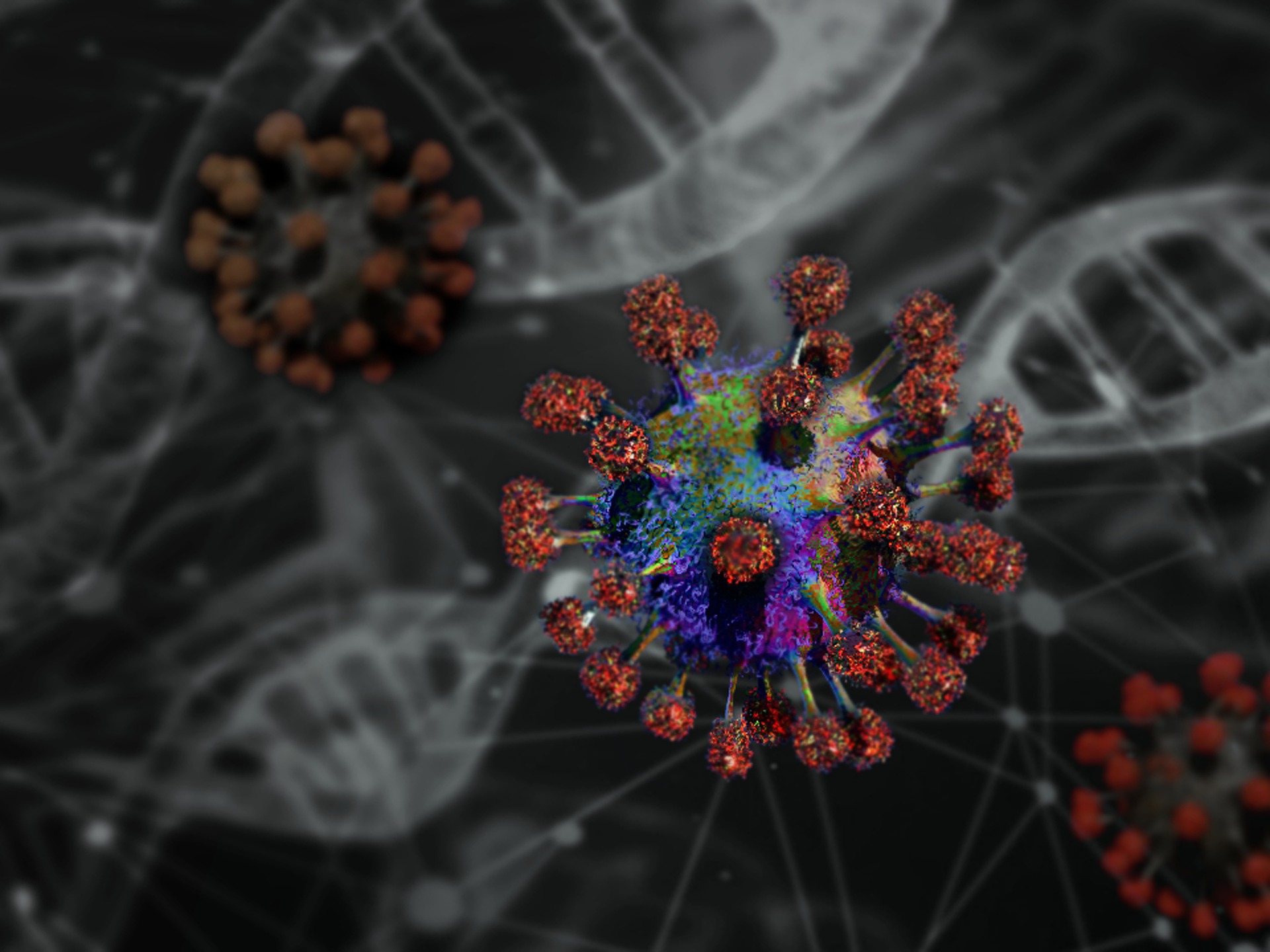 Corona Virus Advisory Wallpaper