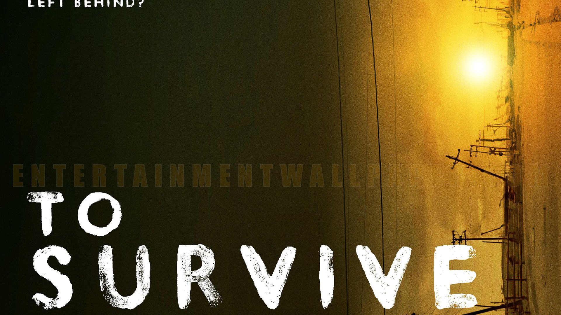 To Survive Wallpaper Size More