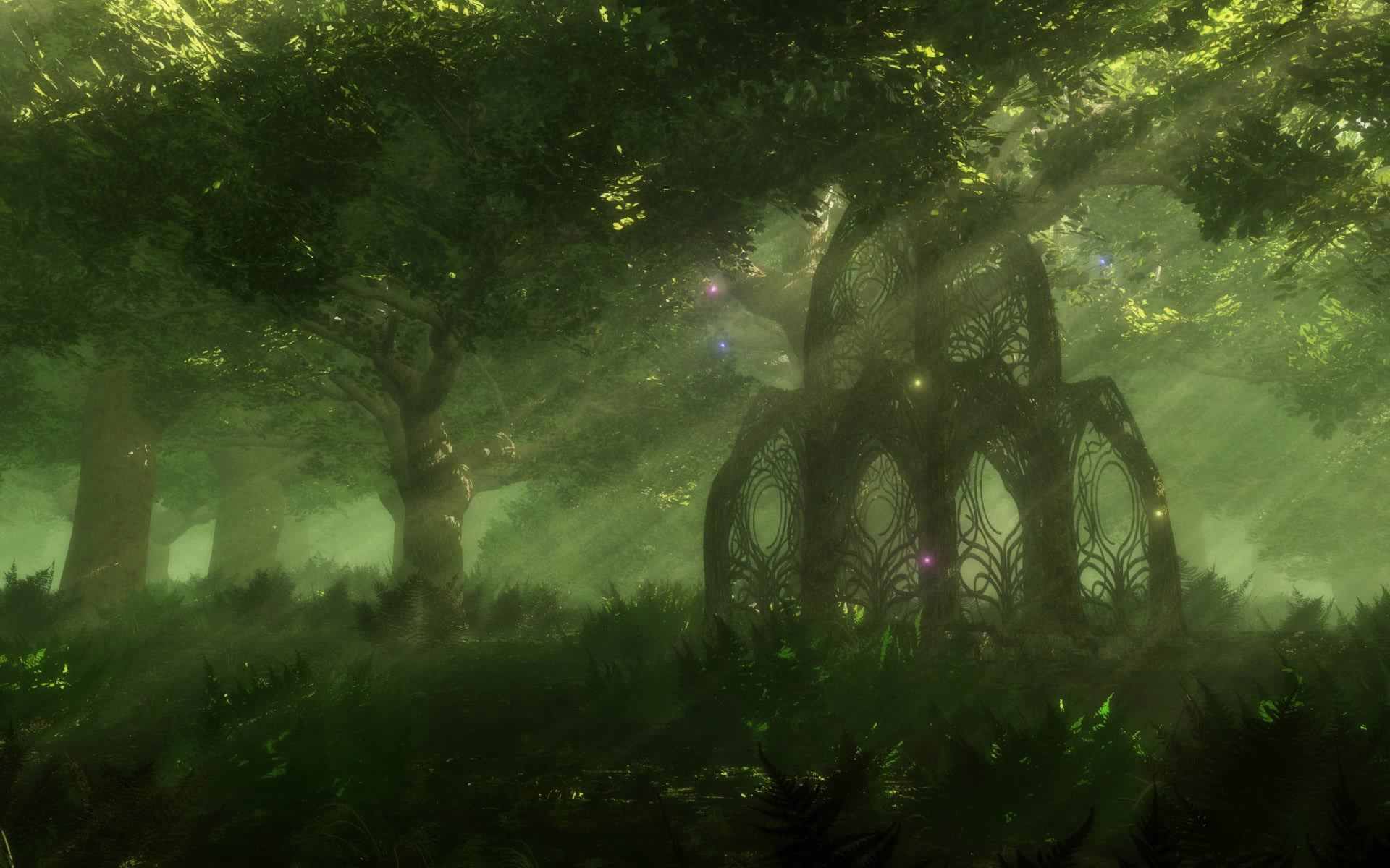 Anime Abstract Part Fantasy Forest HD Wallpaper Jpg