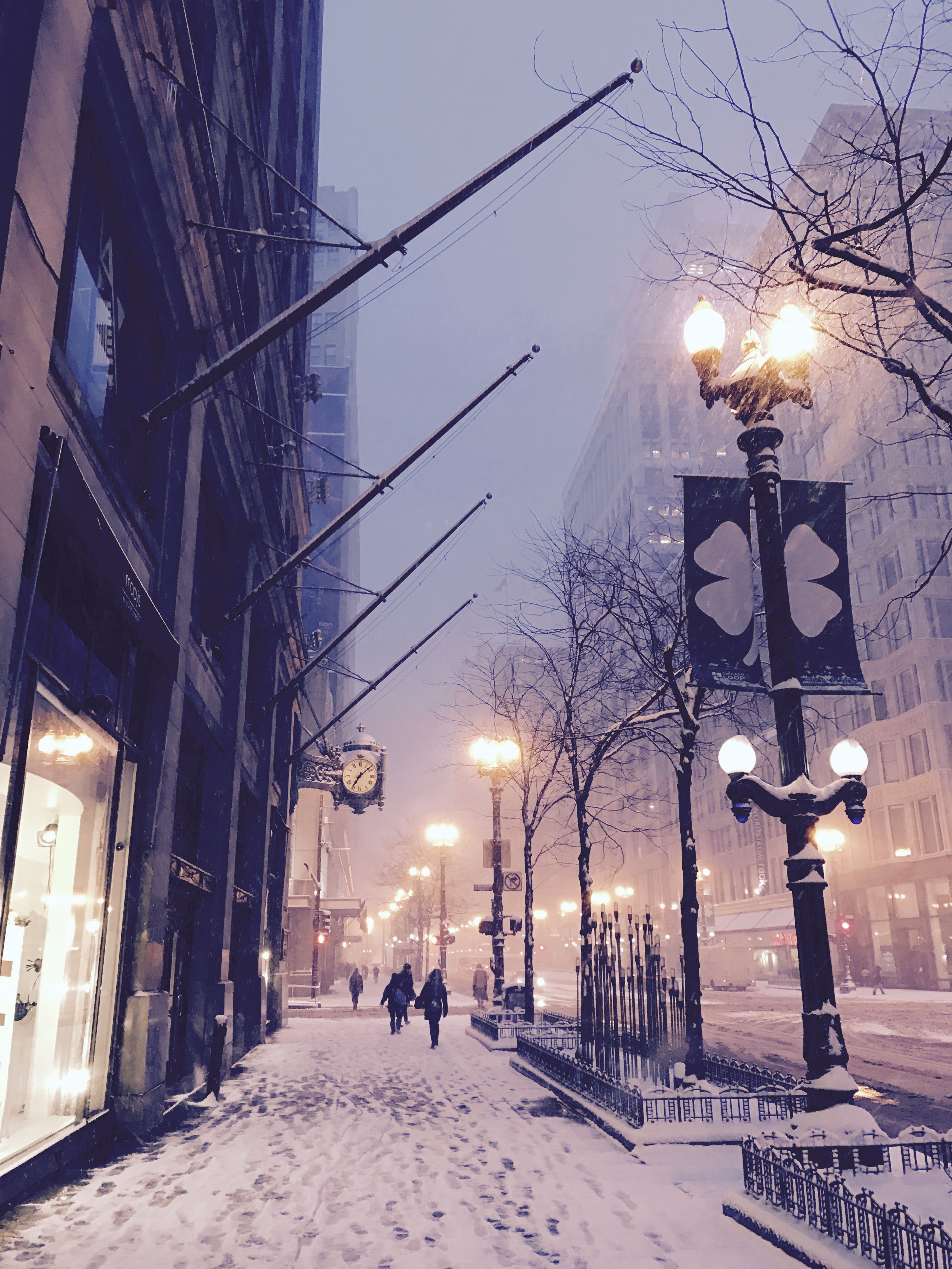 State Street In My Chicago Pics Winter