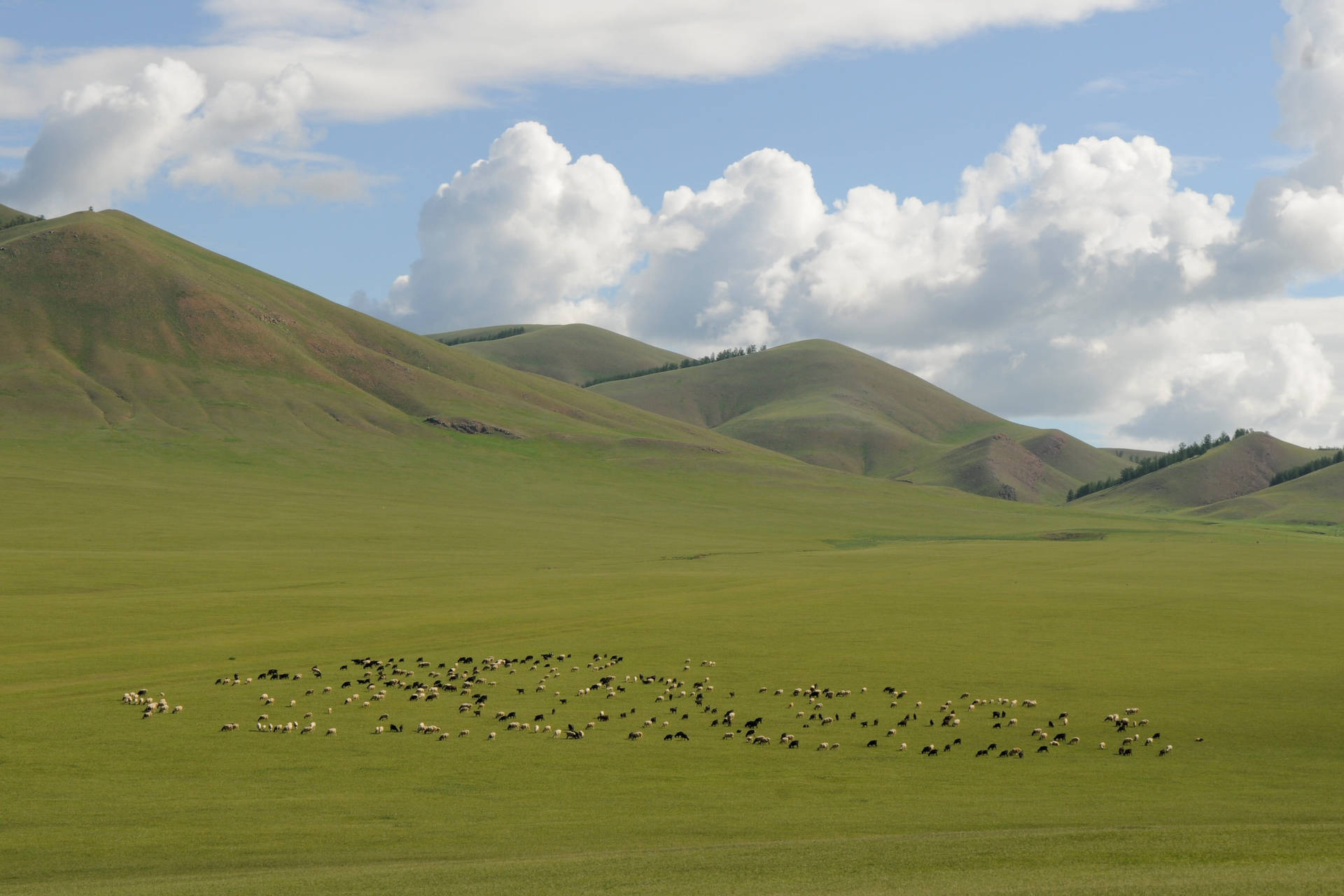 Top Mongolia Wallpaper Full HD 4k To Use