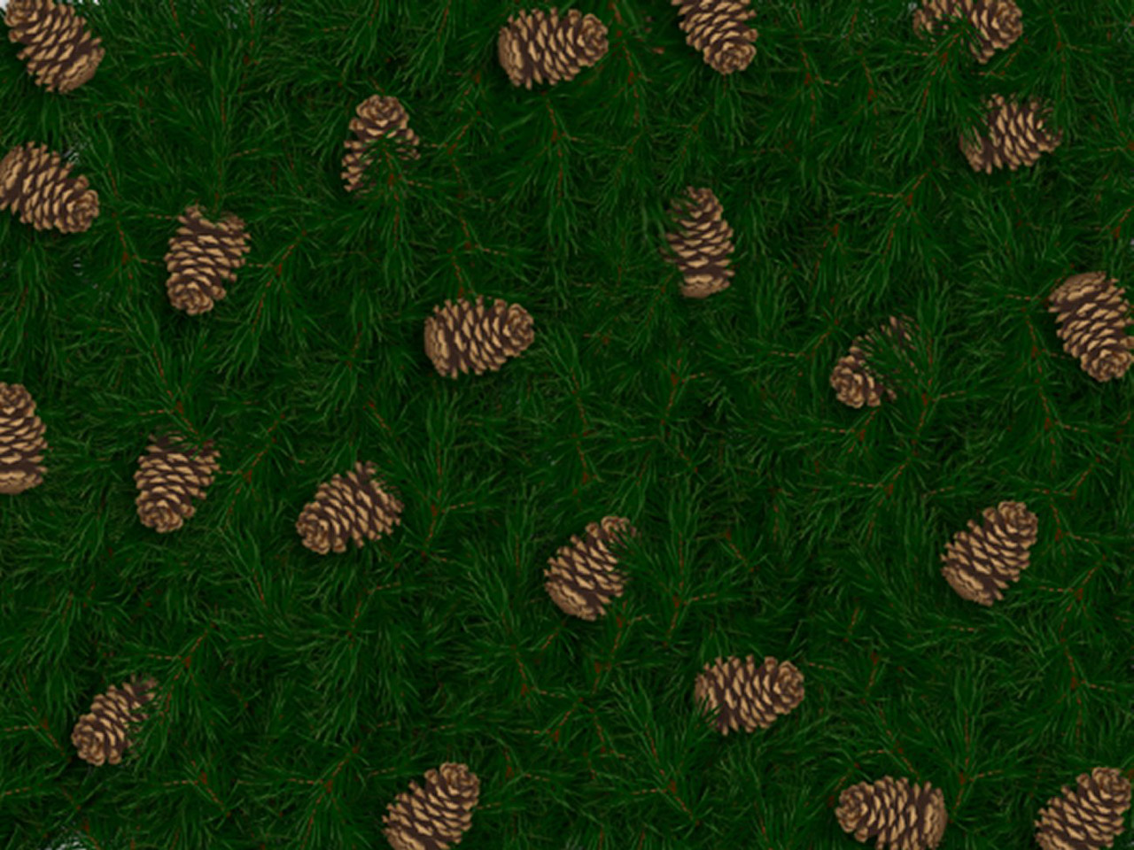 Pine Cone Background Free Stock Photo HD   Public Domain Pictures