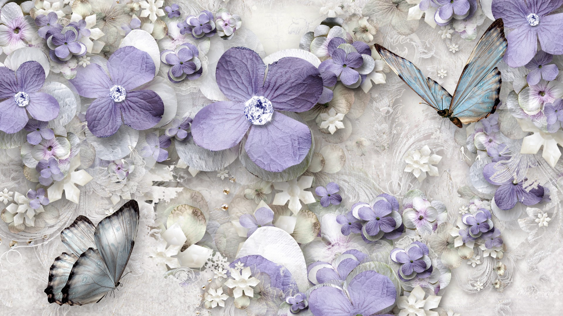 from lavender flower wallpaper wallpaper lavender flower wallpaper